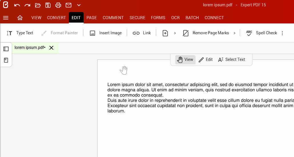 Expert PDF font size.gif