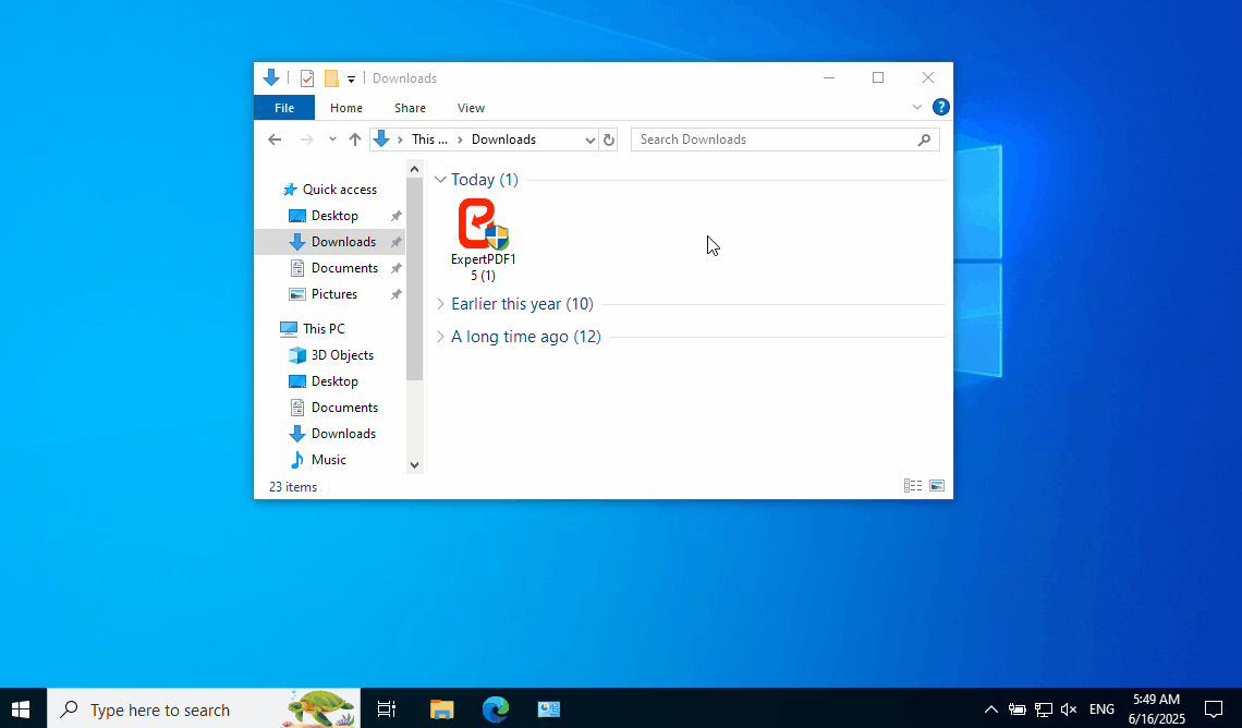 Expert PDF install.gif